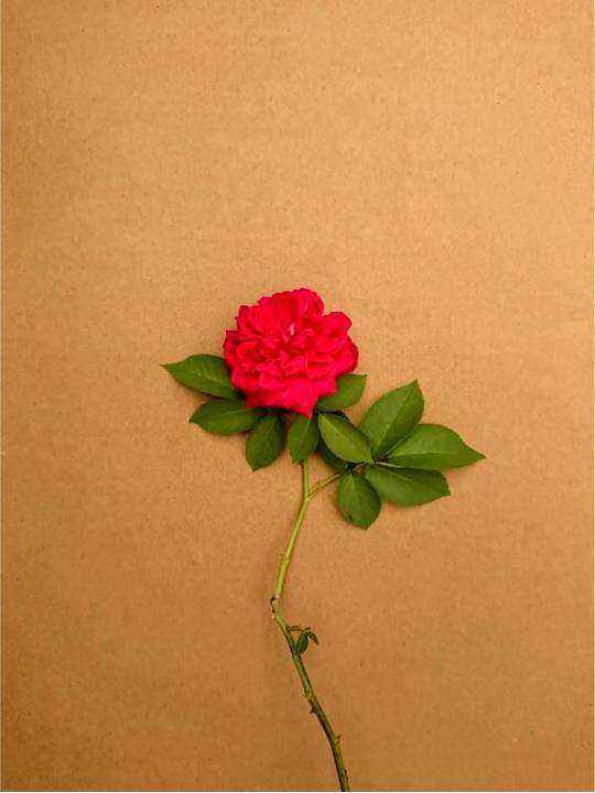 Florale Bühne