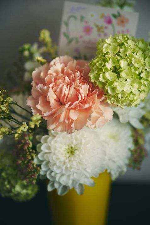 Kontakt OmniRise